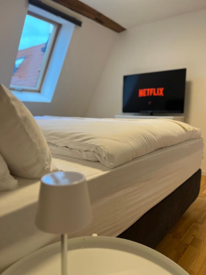 Ludwigshome Zentralste Lage, Klima, Smarttv, Terrasse Ludwigsburg Dış mekan fotoğraf