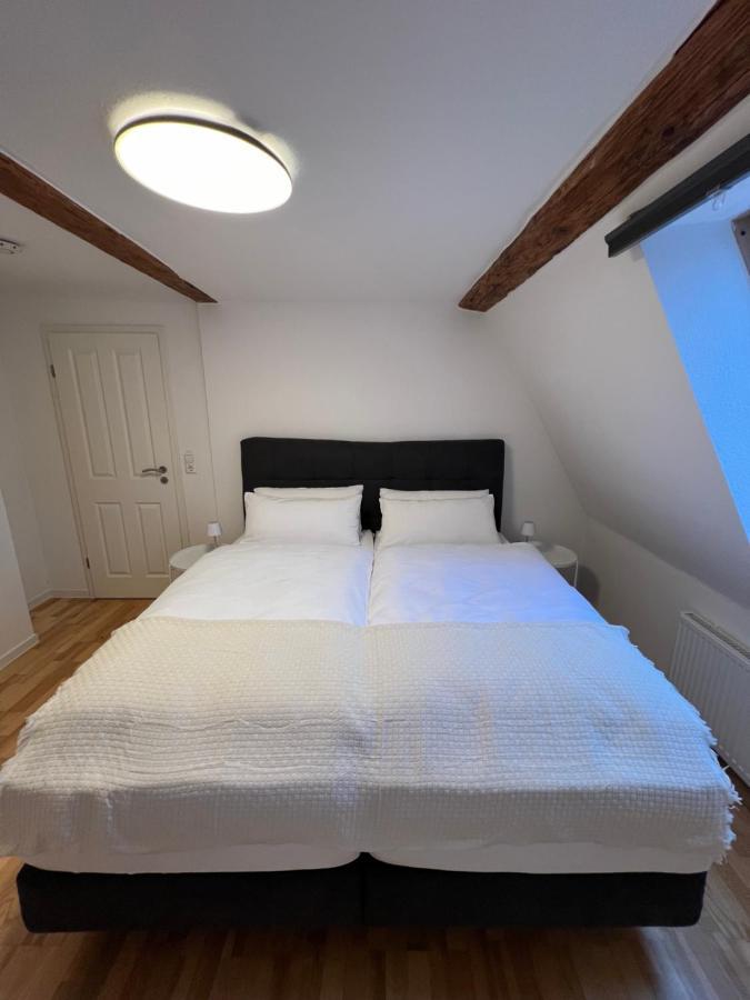 Ludwigshome Zentralste Lage, Klima, Smarttv, Terrasse Ludwigsburg Dış mekan fotoğraf